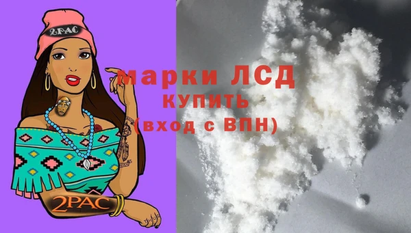 кокс Баксан
