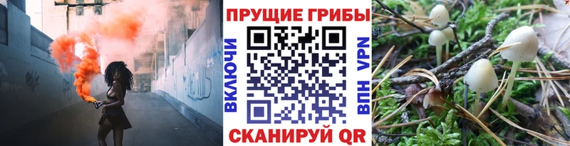 Купить закладки  Скопин  Галлюциногенные грибы мицелий 